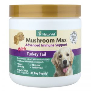 Mushroom Max With Turkey Tail - NaturVet - Silversky