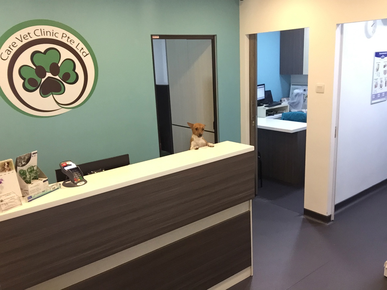 Care Veterinary Clinic Pte Ltd - The Best Pets Magazine In ...