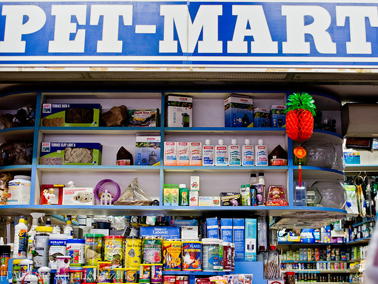 Petmart Pte Ltd - The Best Pets Magazine In Singapore For Your Pet Dogs