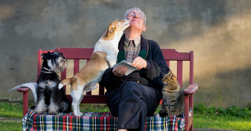 5 Ways Pets Help with Active Ageing