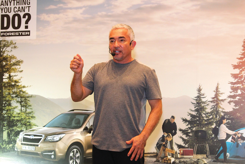 Cesar millan