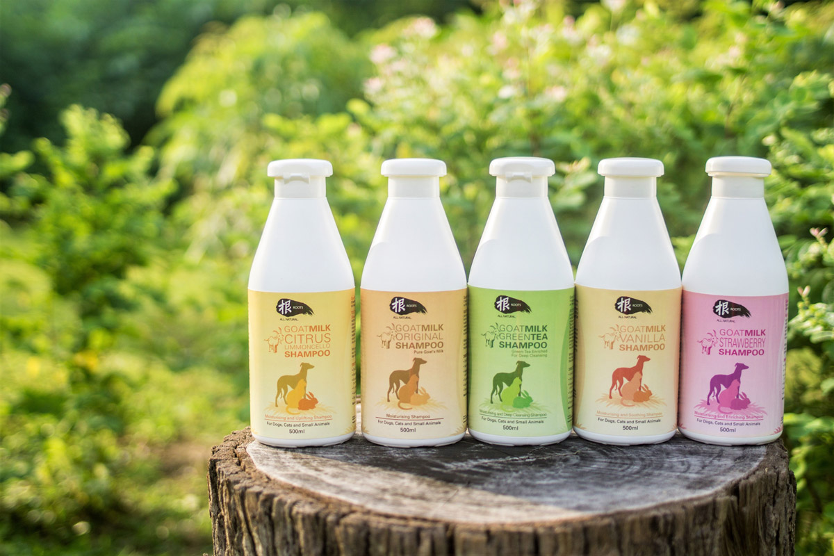 Roots Technologies’ Guide to Natural & Wholesome Products for Pets