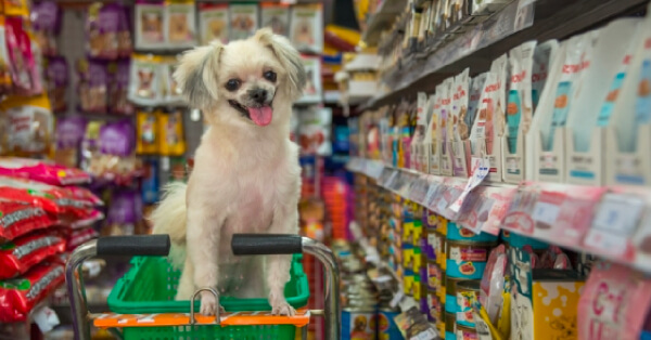 A Guide to Choosing the Perfect Pet Store