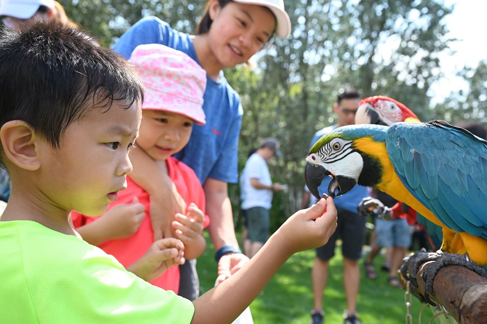 Free Pet Microchipping, Health Checkups & More are Back at NParks’ Pets’ Day Out Event!