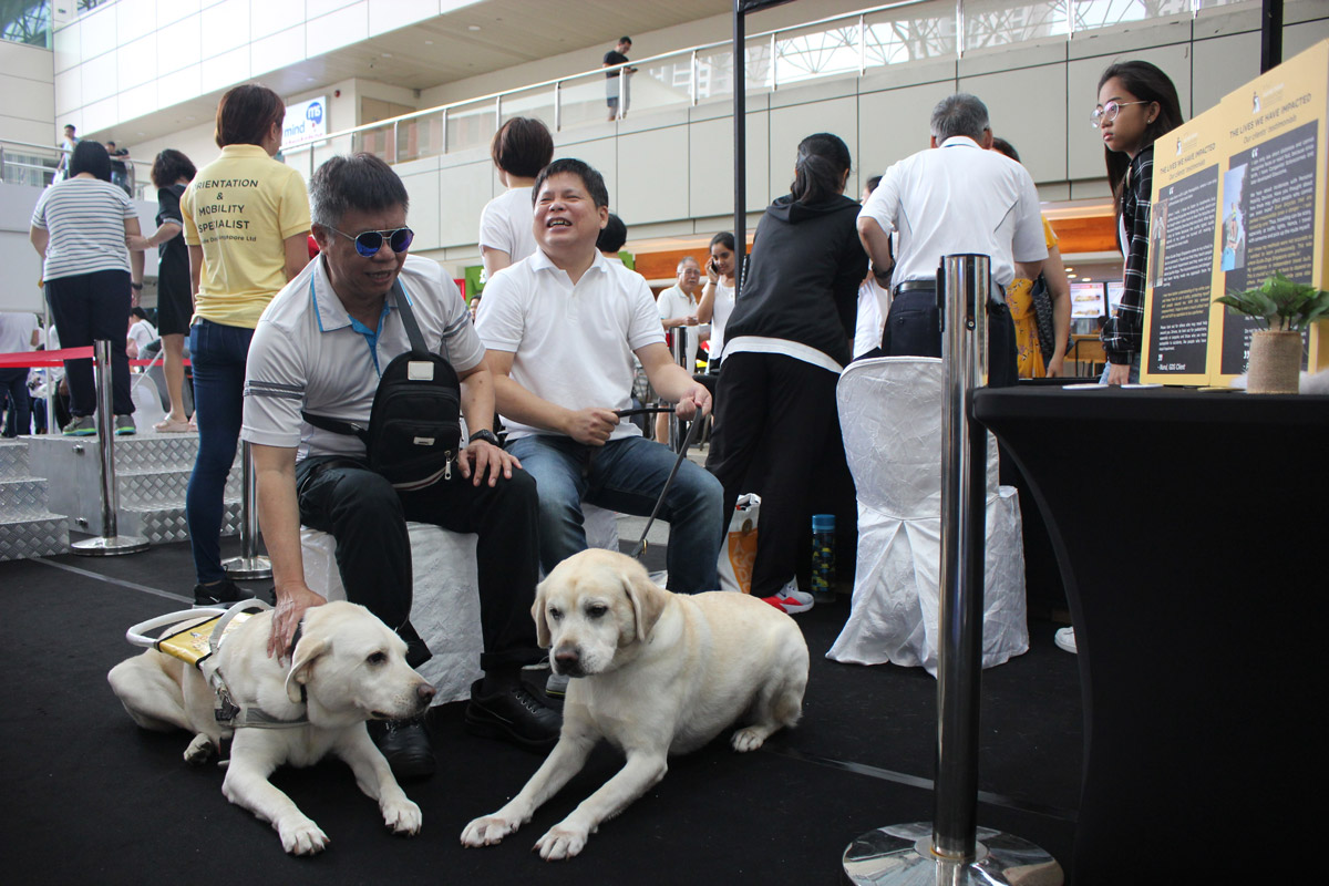 Guide Dogs Singapore Special: Meet Service Dog Clare and Handler Hong Sen