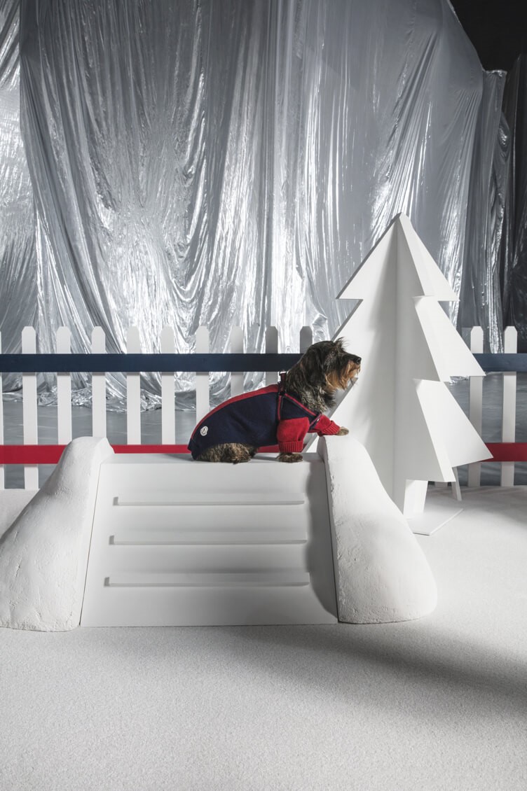 Haute Hound: Put Your Best Paw Forward with Moncler’s Canine Collection