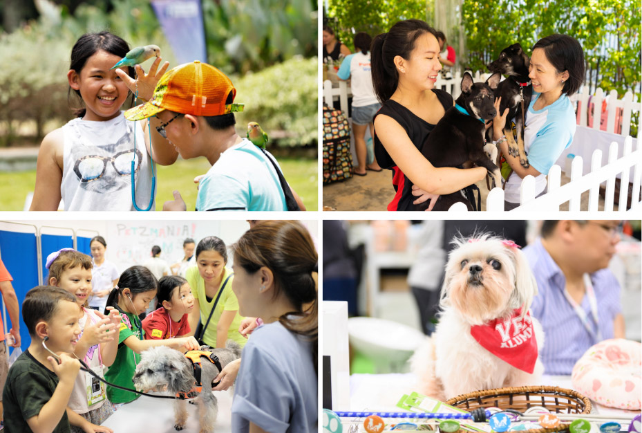 What You Missed: NParks Parks Festival & Pets’ Day Out