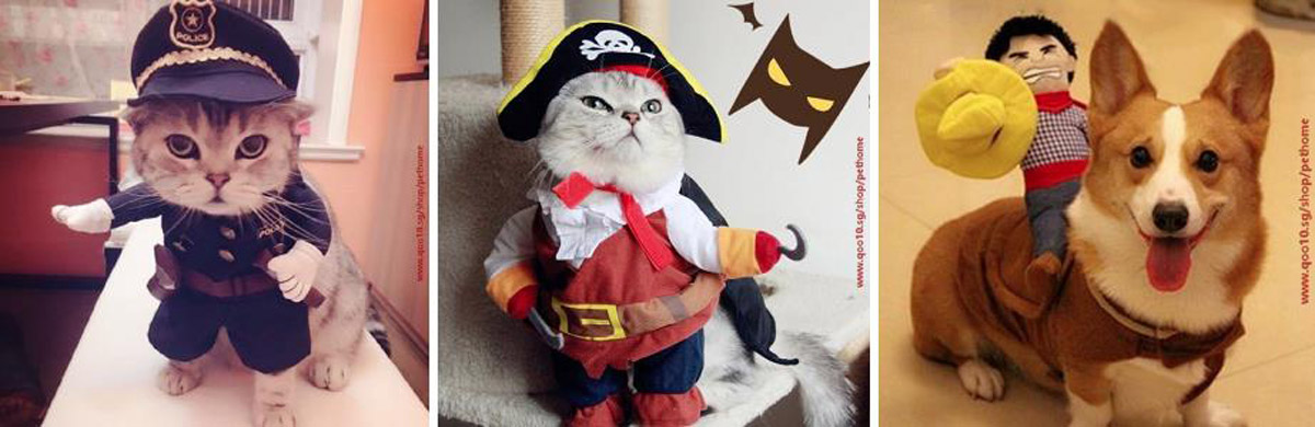 Spooky or Cute, Here are Some Halloween Costume Inspirations for Your Pets