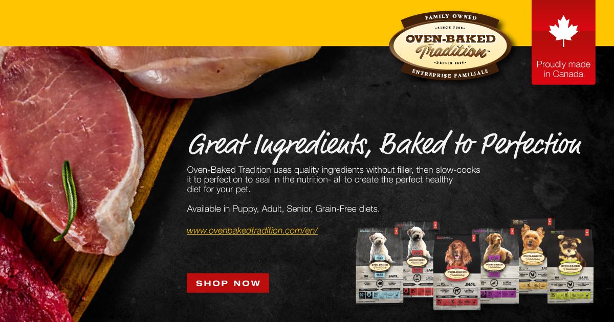 Oven Baked Dog Banner