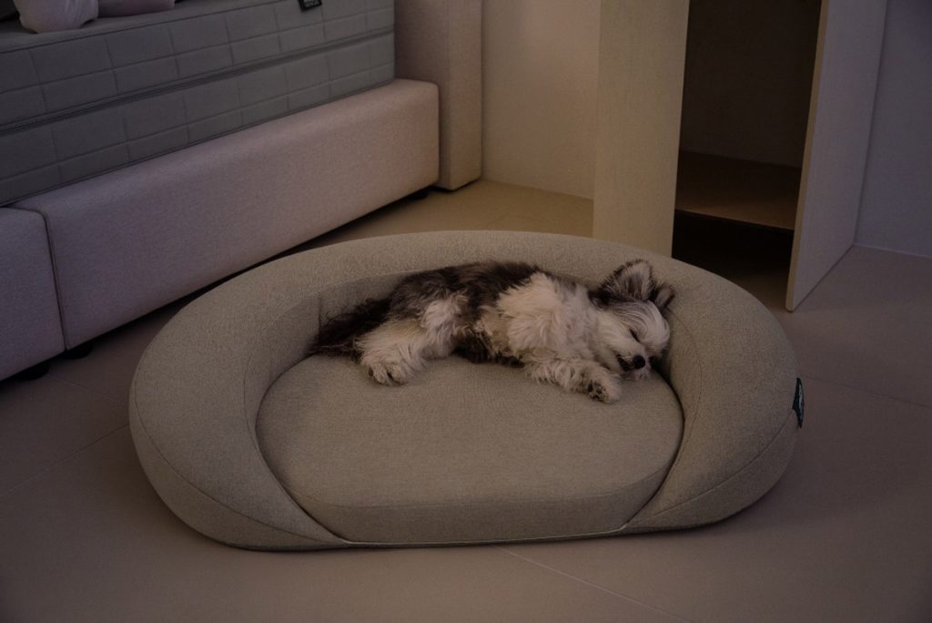 A Blend of Luxury and Functionality The MONGZE AIRNET™ Pet Bed