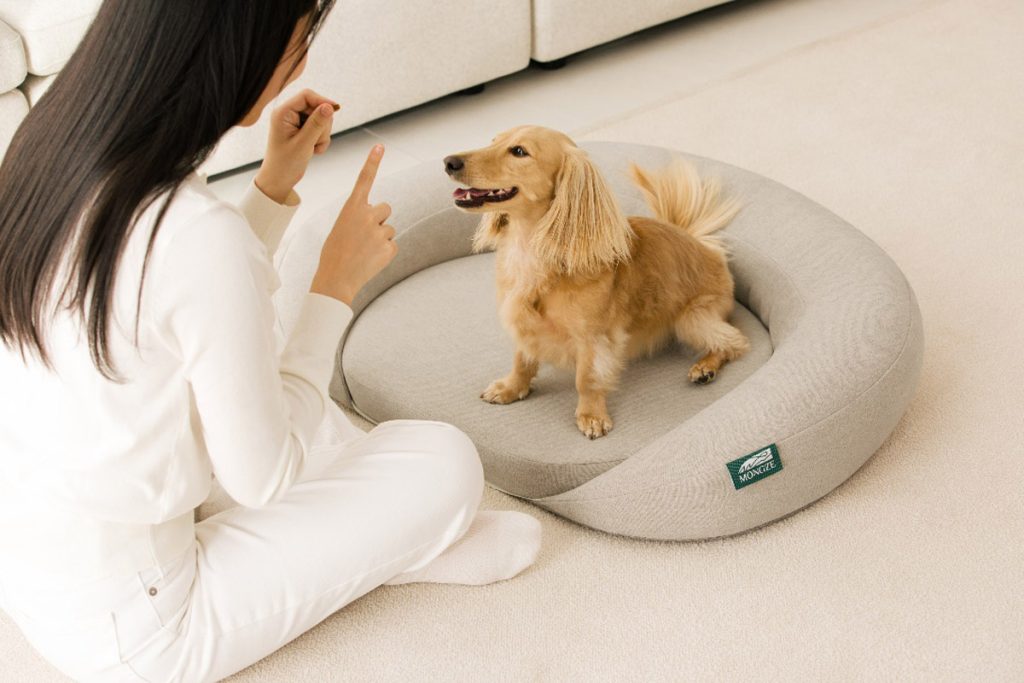 A Blend of Luxury and Functionality The MONGZE AIRNET™ Pet Bed