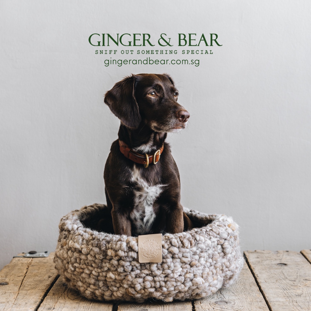 Ginger & Bear