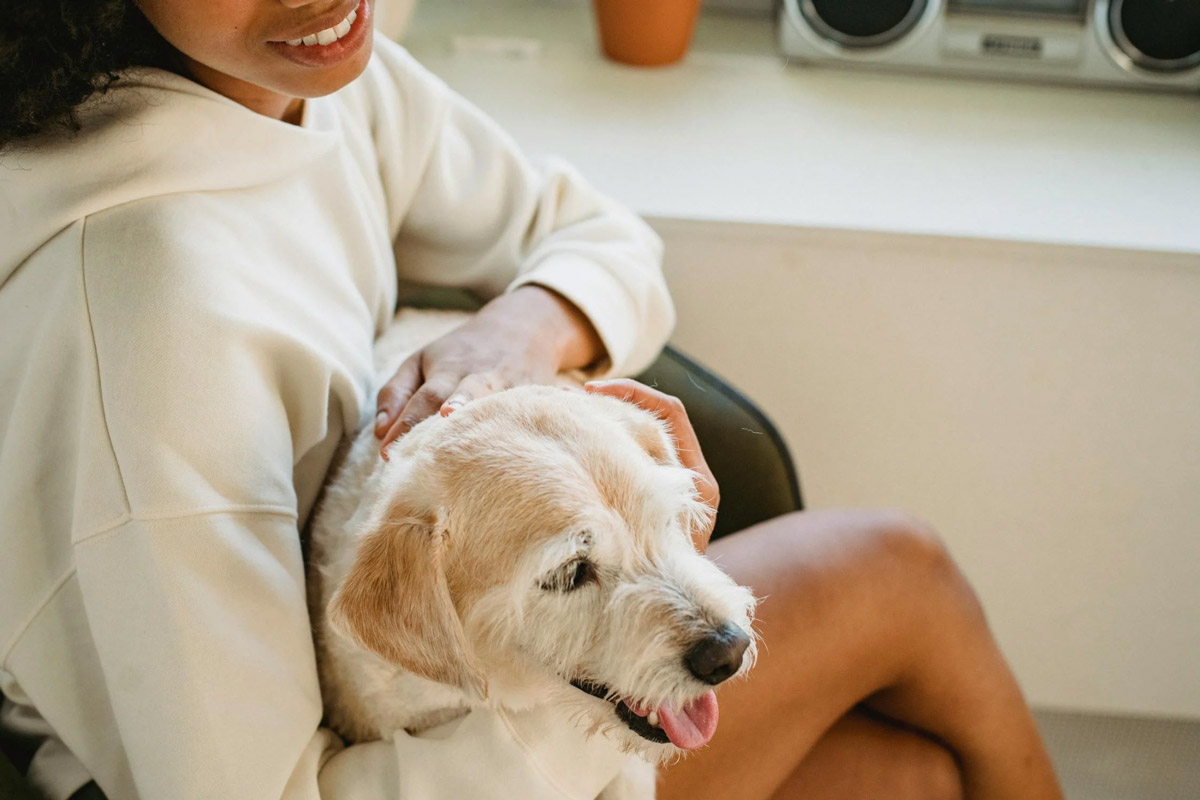 Is Your Dog Showing The Side Eye?: Understanding Whale Eye