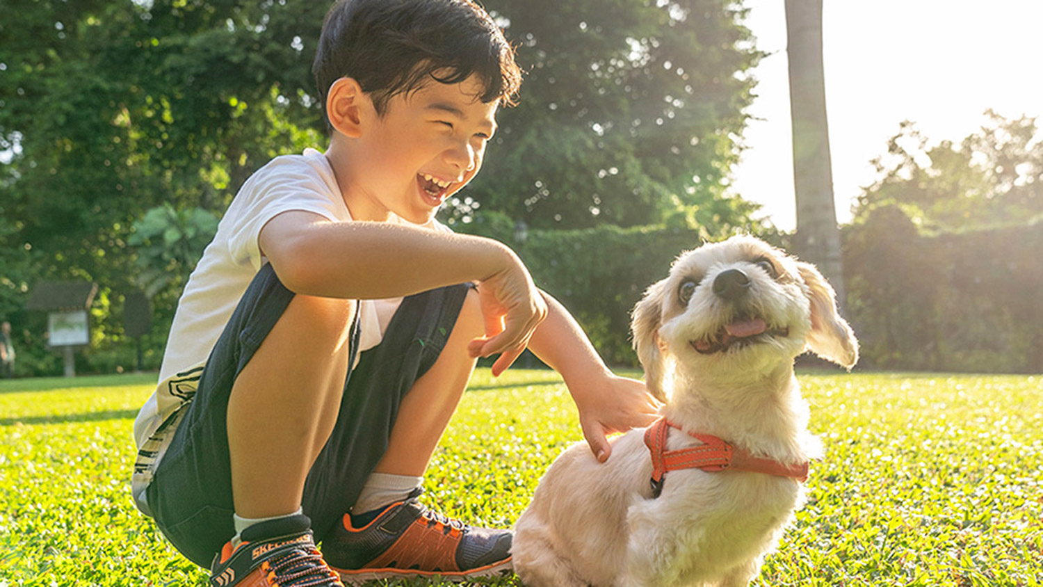 Top 5 Pet-Friendly Places In Singapore For A Fun Day Out