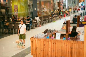 4 Dog-Friendly Shopping Malls In Singapore Worth Checking Out